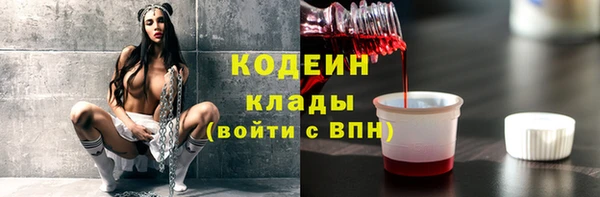 молекула духа Майский