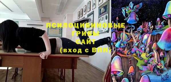 молекула духа Майский