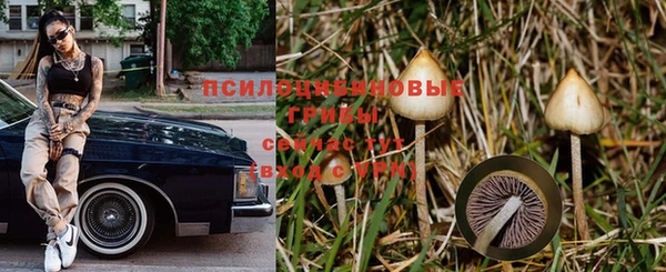 COCAINE Магас