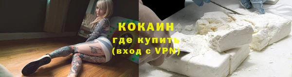 молекула духа Майский