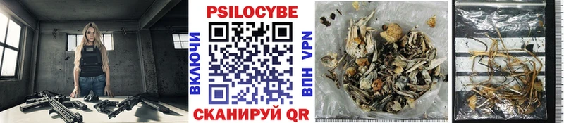 хочу   мега   Галлюциногенные грибы Cubensis  Новоульяновск 